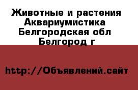 Животные и растения Аквариумистика. Белгородская обл.,Белгород г.